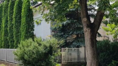 48-as Vendégház Gyopárosfürdő 