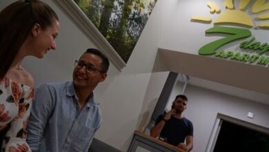 7 Days Apartment Makó 