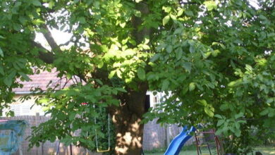 Á&G Vendégház Balatonkeresztúr 