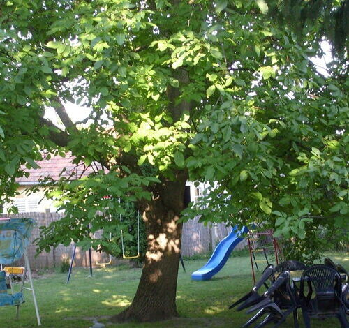 Á&G Vendégház Balatonkeresztúr 