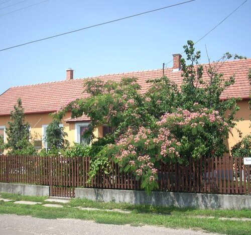 Abádi Karmazsin Ház Abádszalók 