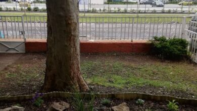 Ádám-Gergő Vendégházak Siófok 