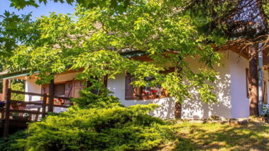 Áfonya Vendégház Eszteregnye 