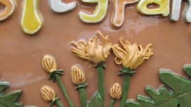 Agárd Pitypang Vendégház 