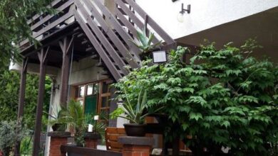 Agave Apartman Velence 