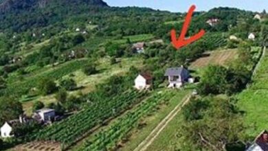 Ágnes Almái Présház Kisapáti 