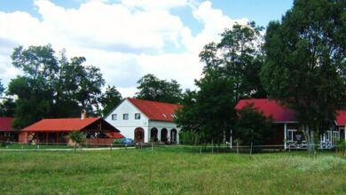 Akác Tanya Faházak Újlengyel 