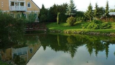 Áldos Wellness Panzió Farád 