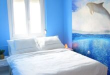 Alisca Kuckó Szekszárd 