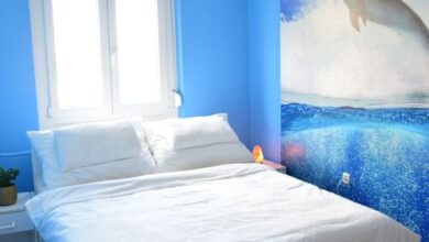 Alisca Kuckó Szekszárd 