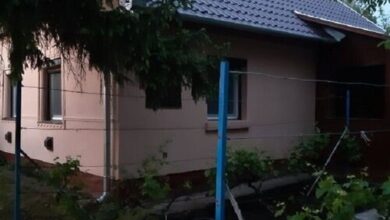 Állatpark Vendégház Füzesgyarmat 