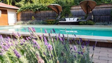 Allium Apartment Makó 