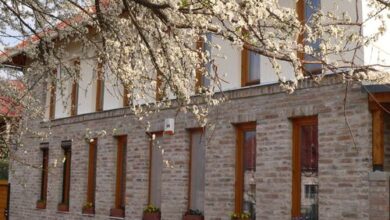 Almafa Apartman Gyula 