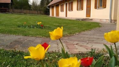 Alsó-szer Vendégház Csörötnek-Őrség 