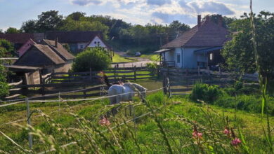 Ambrus Vendégház Izmény 