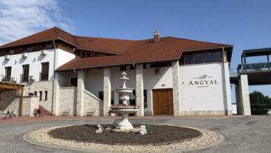 Angyal Borház Rátka 