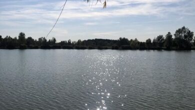 Angyalbőr Apartmanházak Kunfehértó 