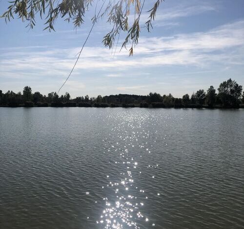 Angyalbőr Apartmanházak Kunfehértó 