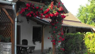 Anita Apartman Kehidakustány 