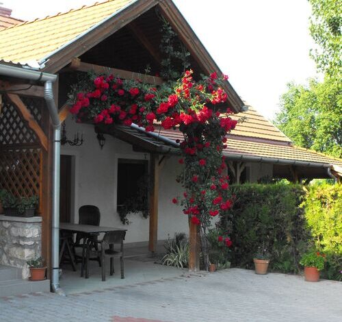 Anita Apartman Kehidakustány 