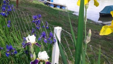 Anita Vendégház Szeged 