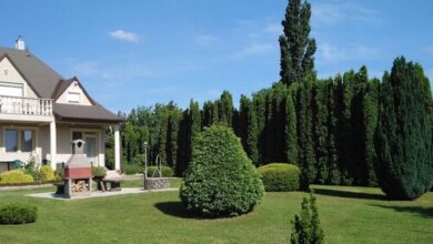 Anna Vendégház Cserszegtomaj 