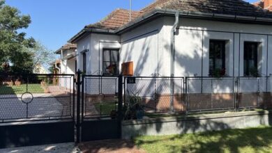 Annushka Apartman Sarud 