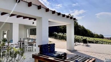 Antmann Bor Terasz Szállás Balatoncsicsó 