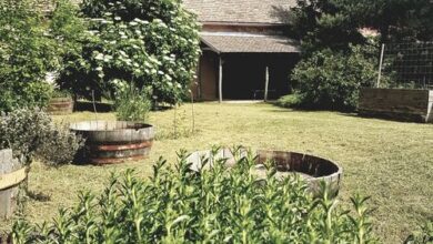 Apartman Vörösdombi Vendégház Cserkút 