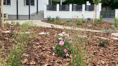 Apartman4You Gyenesdiás 