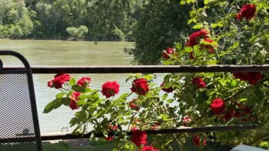 Aqua Bella Apartman Szeged 