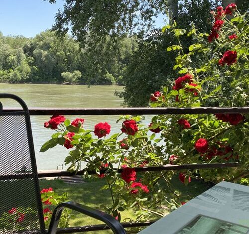 Aqua Bella Apartman Szeged 