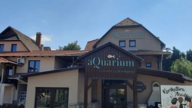 Aquarium Panzió Abádszalók 