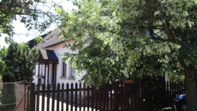 Arany Apartmanok Zamárdi 