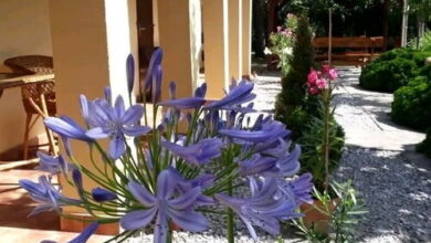 Aranyhal Vendégház Poroszló 