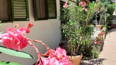 Aranyhíd Szálláshelyek Balatonboglár 