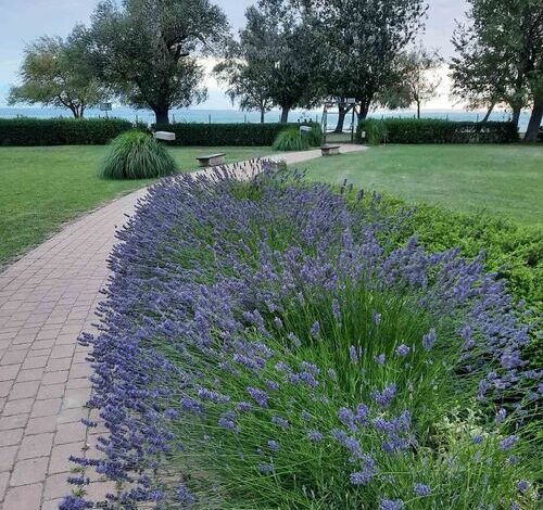 Aranykuckó Apartman Siófok 