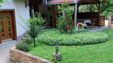 Aranyszarvas Vadászház Vendégház Császártöltés 