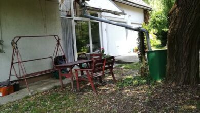 Árnyas Fűz Apartman Magyaregres 
