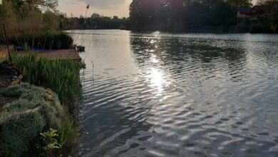 Árnyas Part Vendégház Gyomaendrőd 