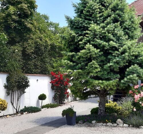 Art Galéria Apartman Gyenesdiás 