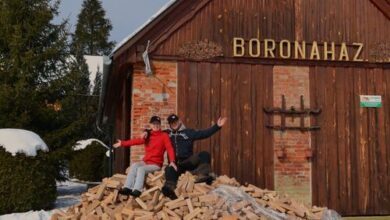 Az Őrségi Boronaház Porta Szalafő 