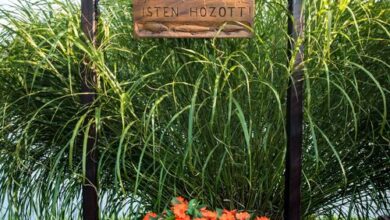 Az én szigetem Vendégházak Szarvas 