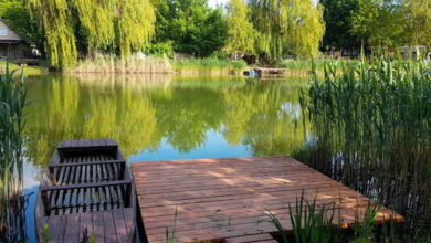 Azori Vendégház Gyomaendrőd 