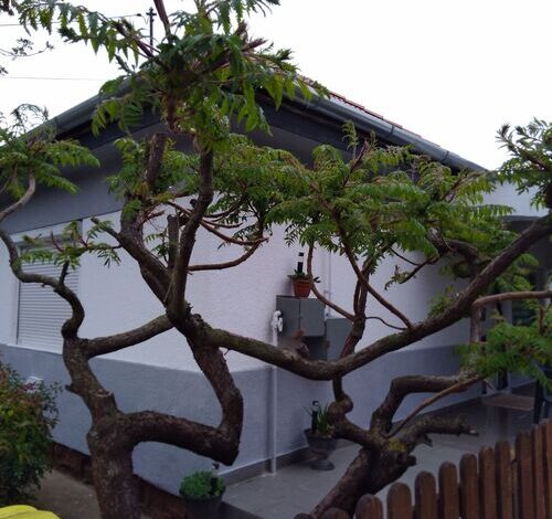 BB Ház Apartman Balatonboglár 