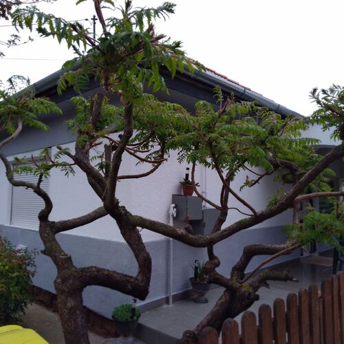BB Ház Apartman Balatonboglár