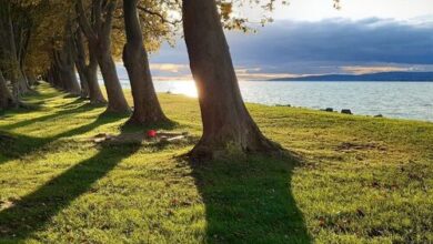 BB-Ház Balatonboglár 