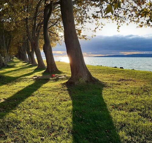 BB-Ház Balatonboglár 