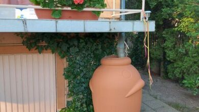 BaBo Vendégház Kecskemét 