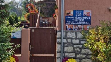 Bakonybéli Patakpart Vendégház*** 